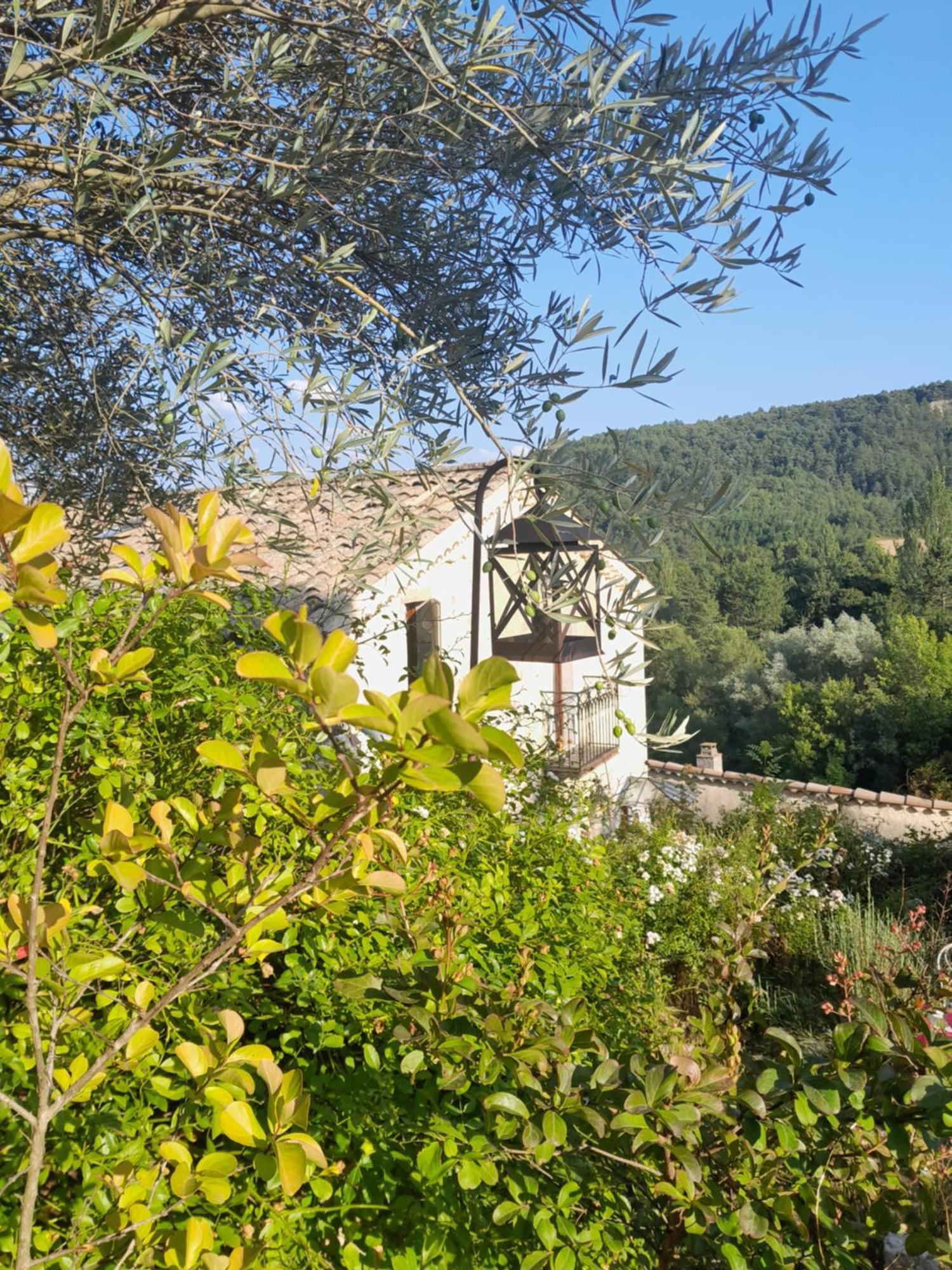 Chambre D'Hotes La Romarine Barnave Buitenkant foto